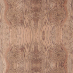 Burl Walnut Wood Veneer Sheet