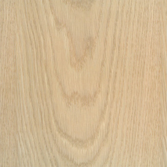 White Oak Wood Veneer Texture Seamless