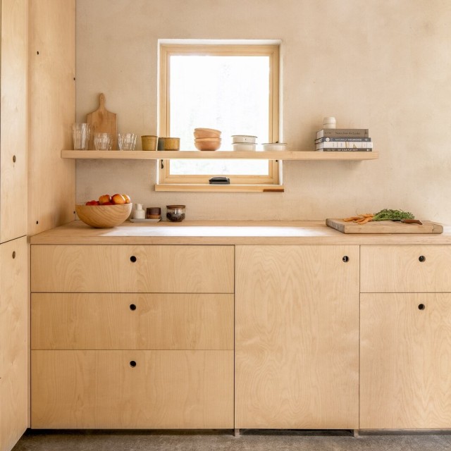 Birch Wood Veneer Factory