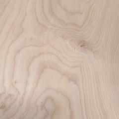 Birch Burl Wood Veneer