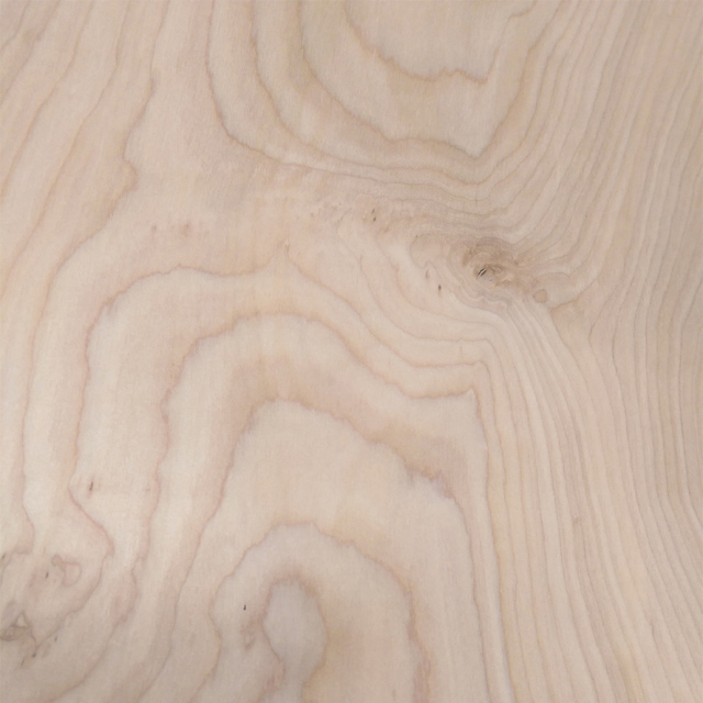 Birch Burl Wood Veneer