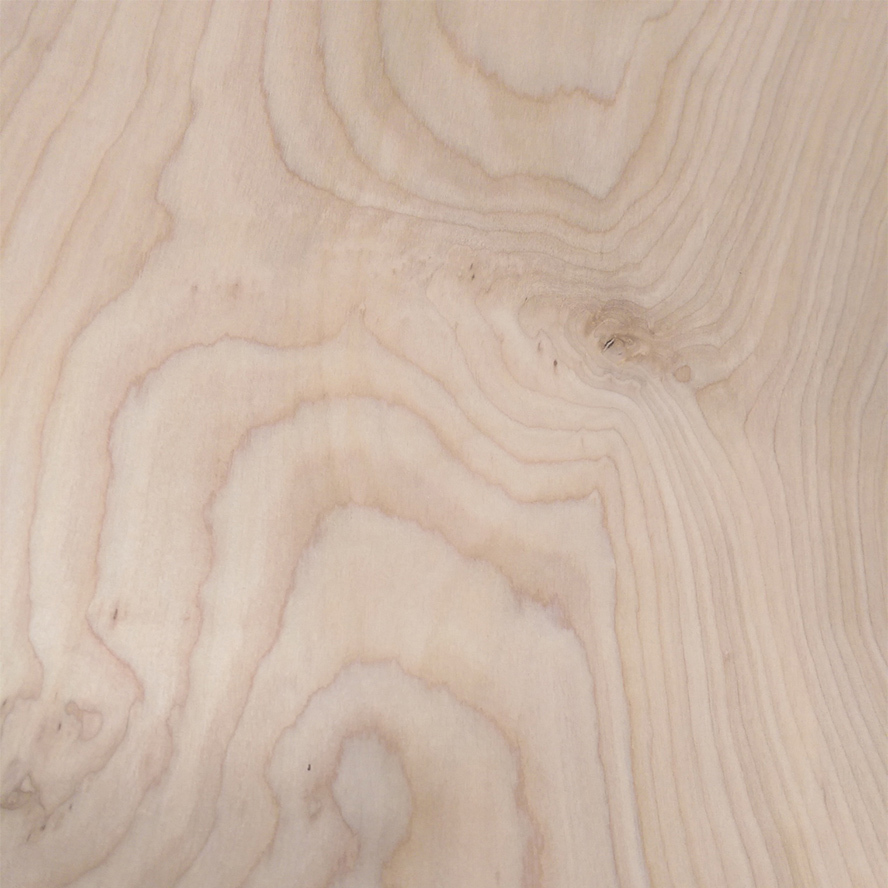 Burl Wood Veneer Birch Texture Sheet