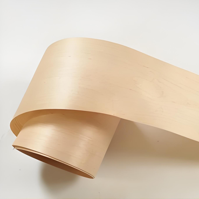White Natural Birch Veneer Wood Texture