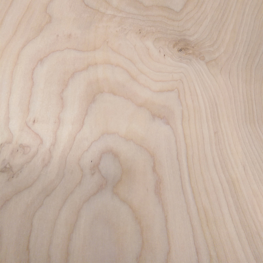 Birch Burl Wood Veneer