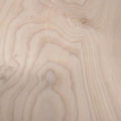 Birch Burl Wood Veneer