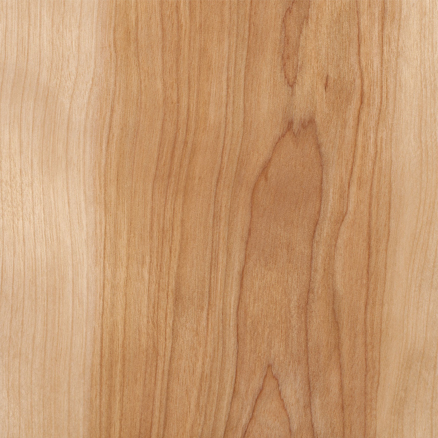 Natural Wood Red Birch Veneer Texture