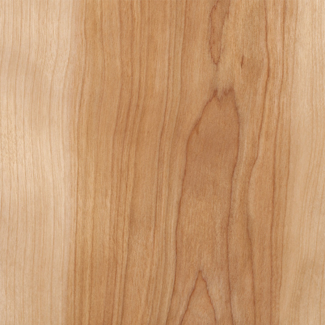 Natural Wood Red Birch Veneer Texture