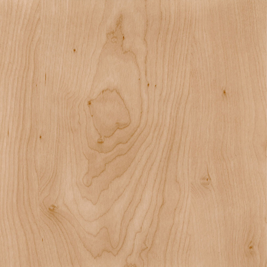 Birch Burl Wood Veneer