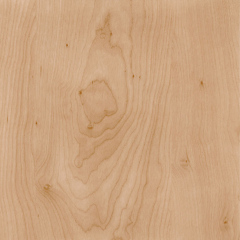 Birch Burl Wood Veneer