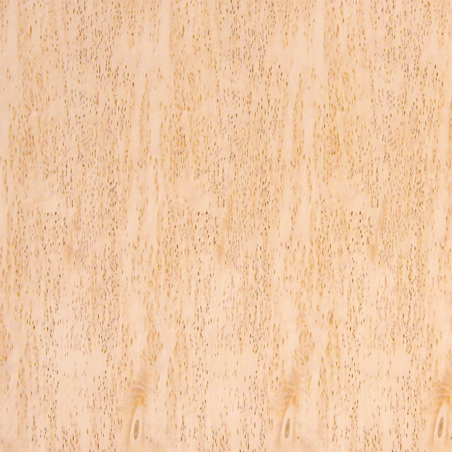 Natural Wood Red Birch Veneer Texture