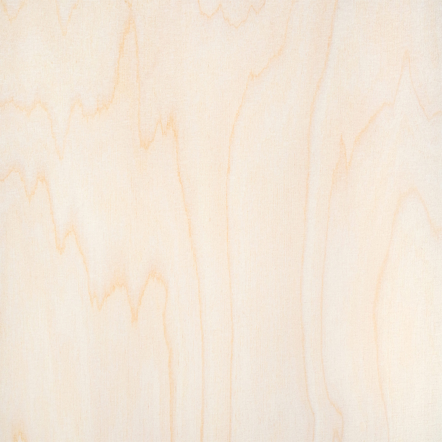 White Natural Birch Veneer Wood Texture