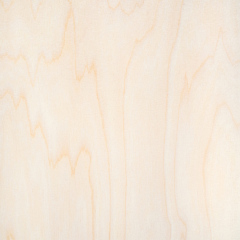 White Natural Birch Veneer Wood Texture
