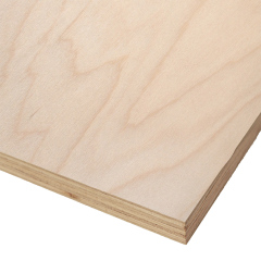 Birch Wood Texture Wall Planks
