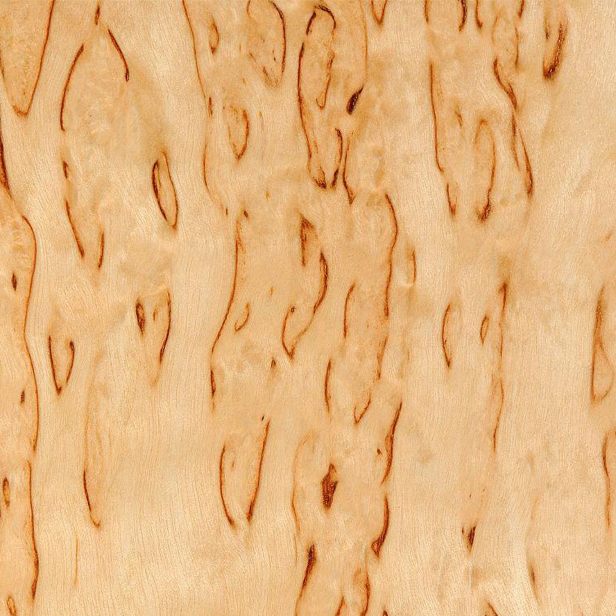 Birch Burl Wood Veneer