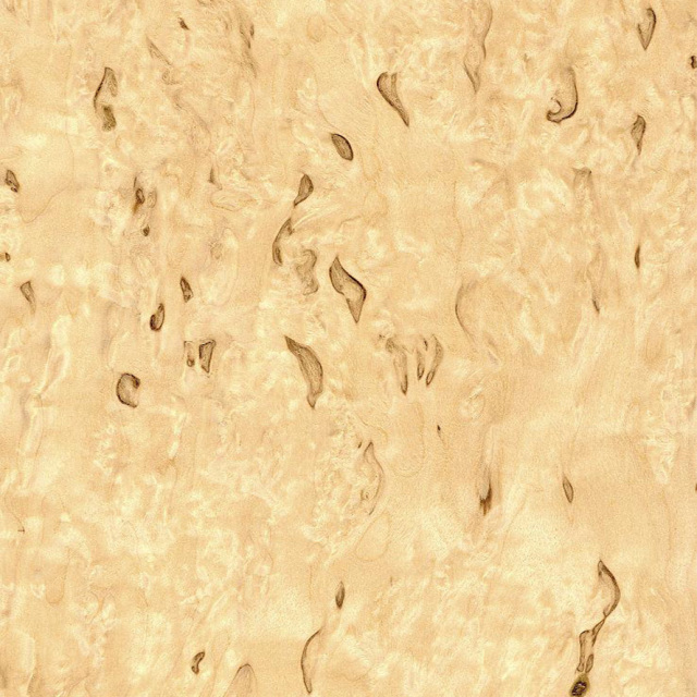 Birch Burl Wood Veneer