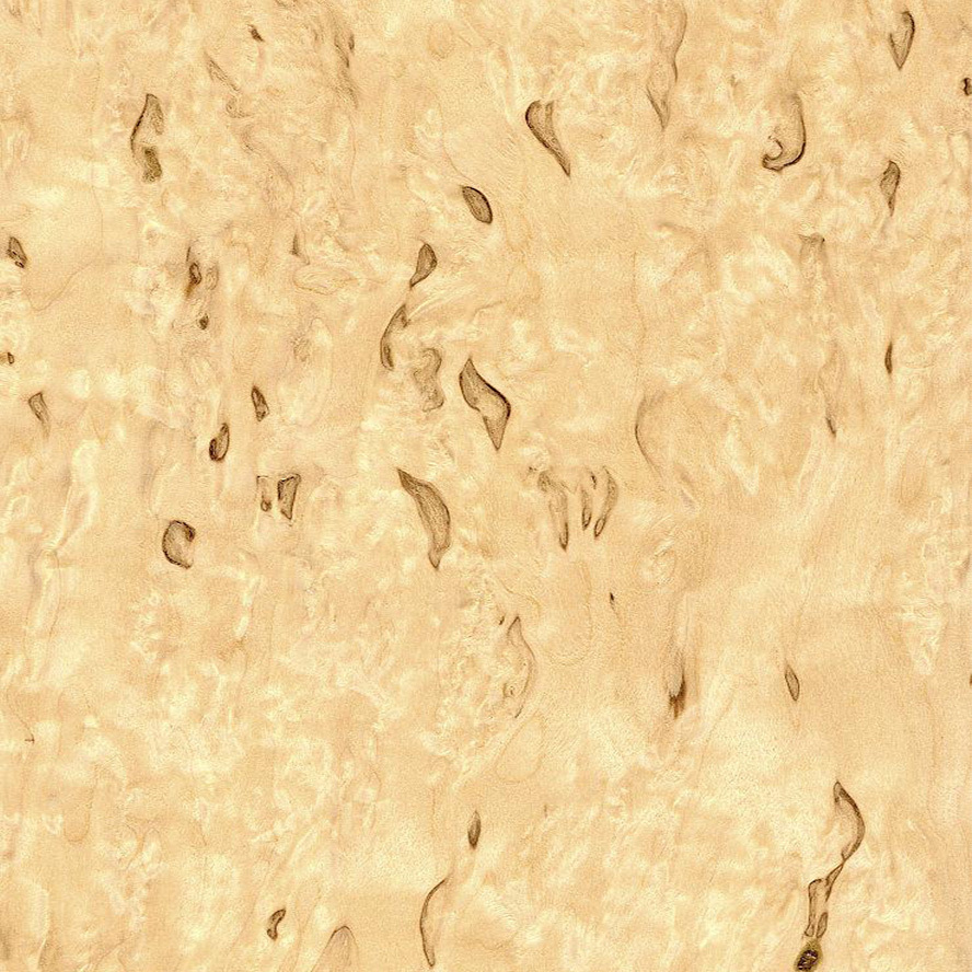 Burl Wood Veneer Birch Texture Sheet