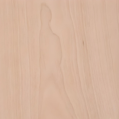Natural Wood Red Birch Veneer Texture