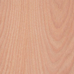 Natural Wood Red Birch Veneer Texture