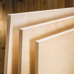 Birch Wood Texture Wall Planks