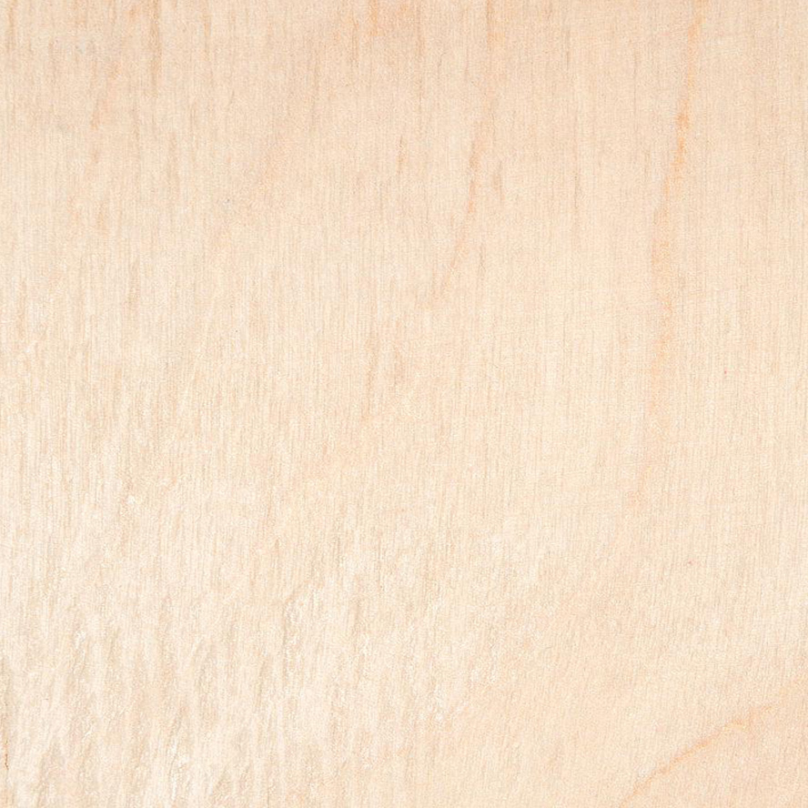White Natural Birch Veneer Wood Texture