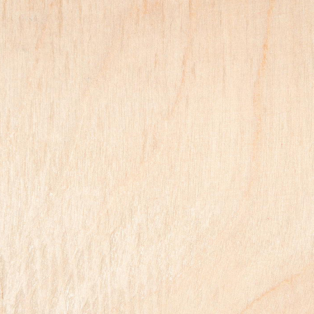 White Natural Birch Veneer Wood Texture