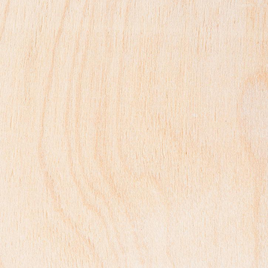White Natural Birch Veneer Wood Texture