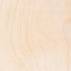 White Natural Birch Veneer Wood Texture
