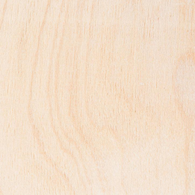 White Natural Birch Veneer Wood Texture