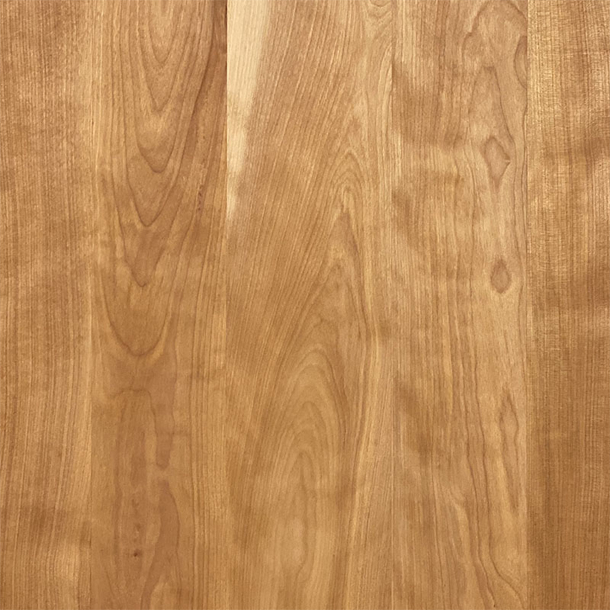 Burl Wood Veneer Birch Texture Sheet