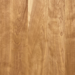 Burl Wood Veneer Birch Texture Sheet