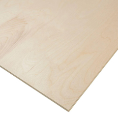 White Natural Birch Veneer Wood Texture