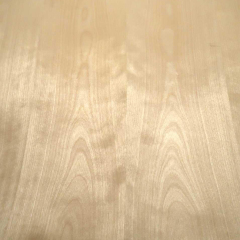 Birch Burl Wood Veneer