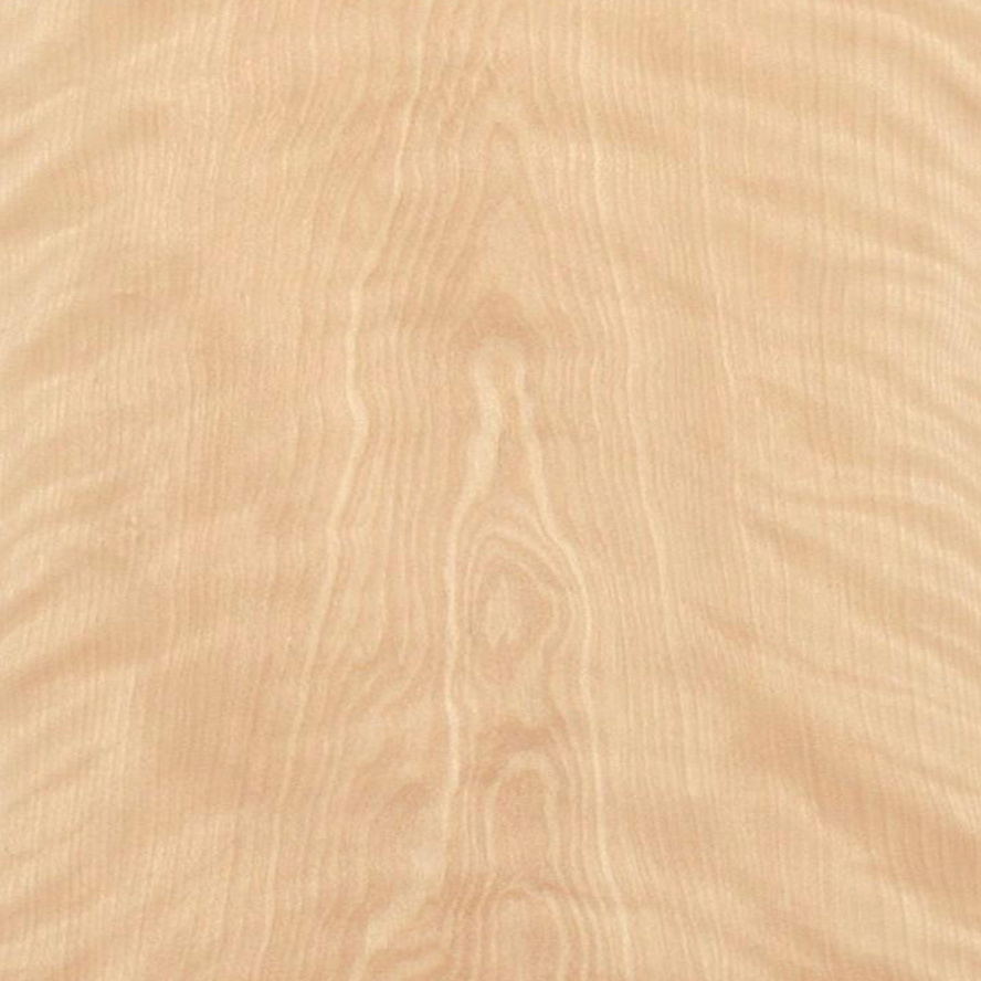 Natural Wood Red Birch Veneer Texture