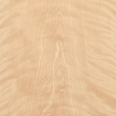 Natural Wood Red Birch Veneer Texture