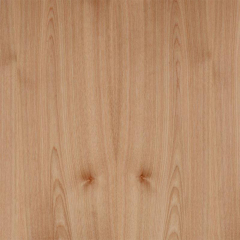 Burl Wood Veneer Birch Texture Sheet