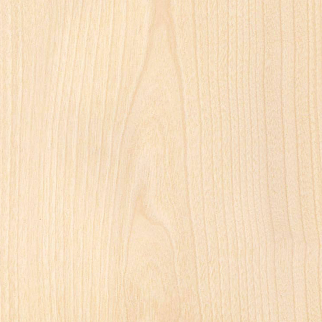 White Natural Birch Veneer Wood Texture