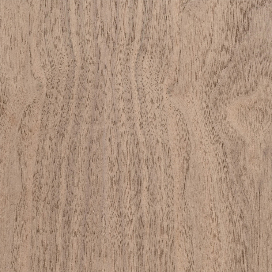 Black Walnut Veneer Sheets