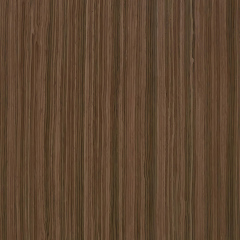 Black Walnut Veneer