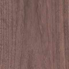 Walnut Veneer 4x8