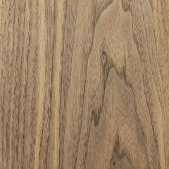 Wood Walnut Veneer Dark