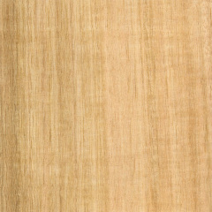 Oak Timber Veneer