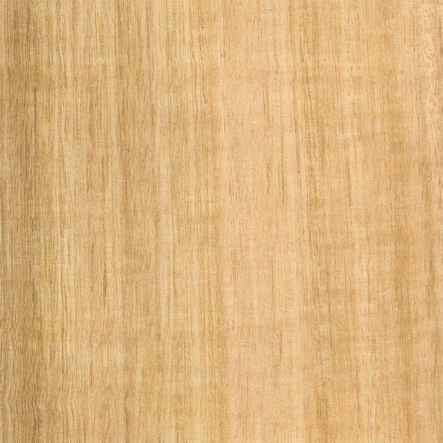 Real Wood Oak Veneer