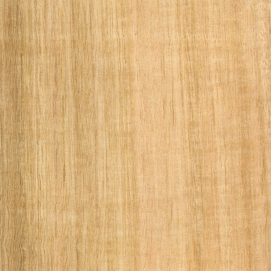 Oak Wood Veneer Real