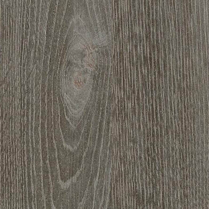 Oak Veneer Sheet Grey
