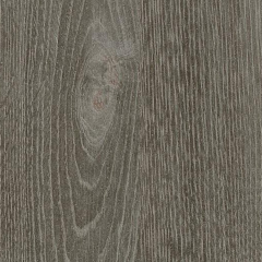 Gray Oak Wood Veneer