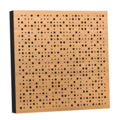Custom Perforated Wood Panel Acoustic