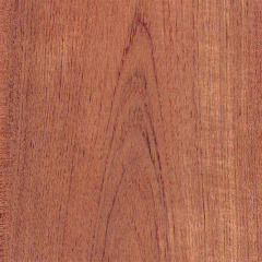 Teak Sheet