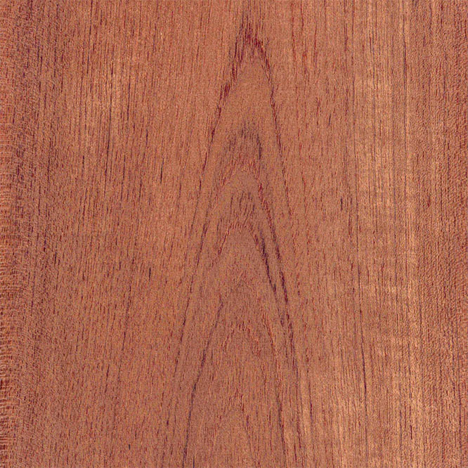 Teak Wood Veneer Sheets