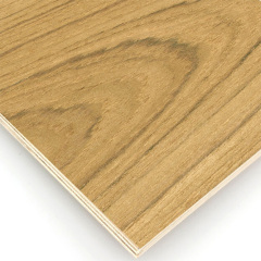 Natural Teak Plywood