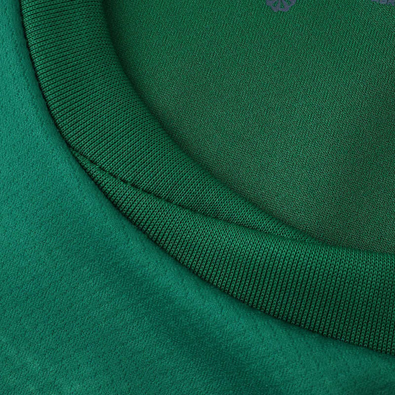 2526 Wolfsburg Home Fan version